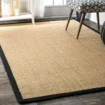 Carpet Dubai Drafted 74 Sisal Carpet With Black Border