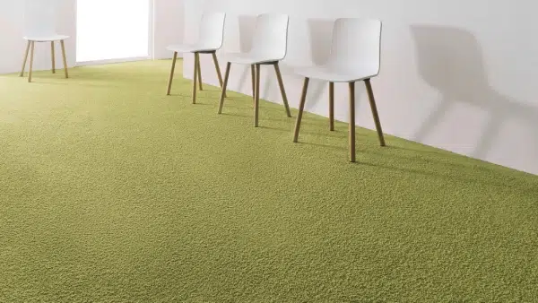 Wall To Wall 1 Luxury Green Color Wall to Wall Carpet Installed in Home