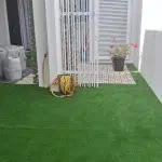 Carpet Dubai Drafted 104 Green Color Artificial Grass Carpet For Outdoor Area in Dubai