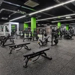 Free Weight Rubber Tiles For Your GYM