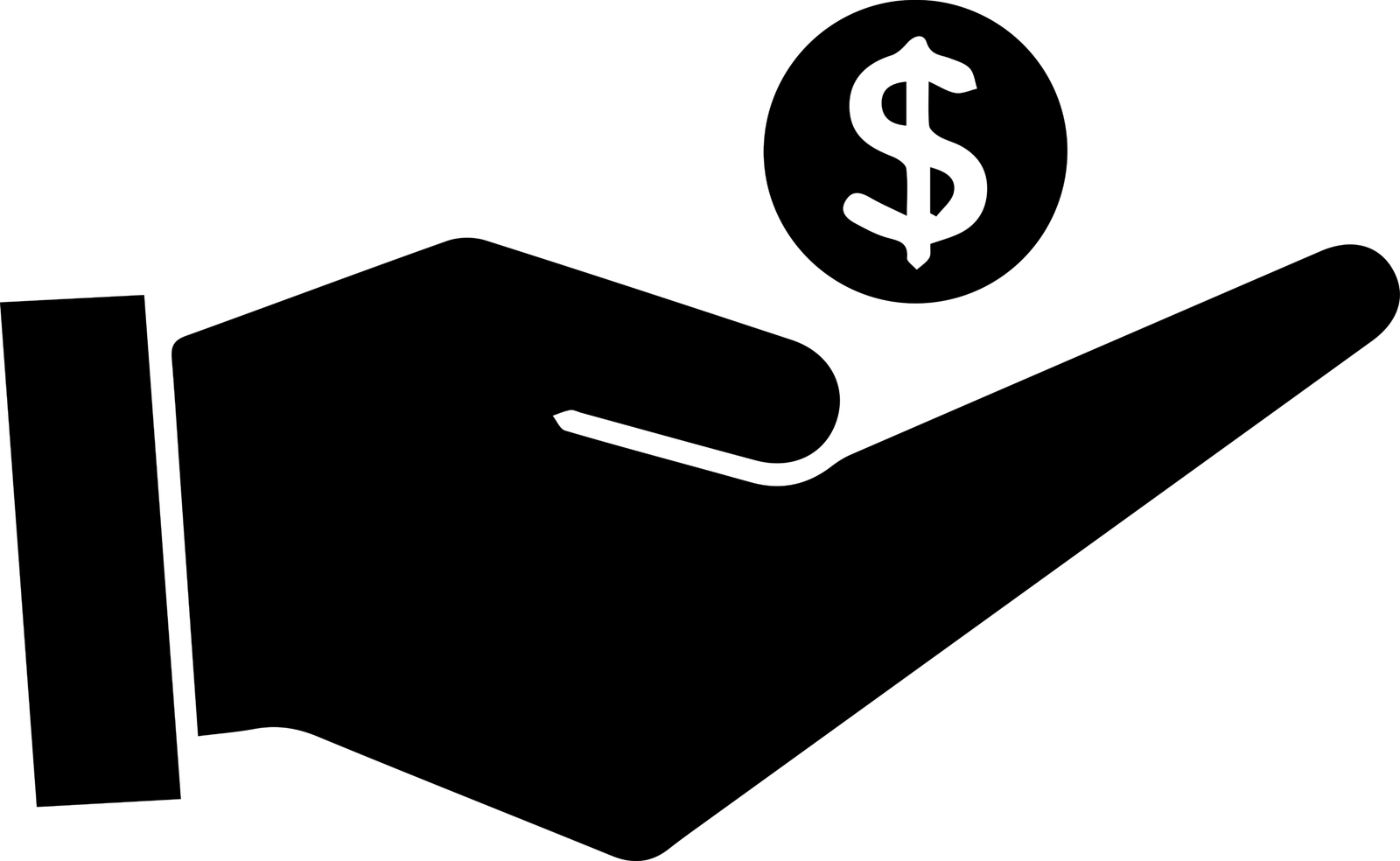 Affordable icon scaled