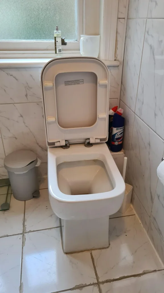 Bathroom Renovation 18 square-close-coupled-toilet-with-soft-close-seat-against-marble-effect-wall-tiles-needing-replacement