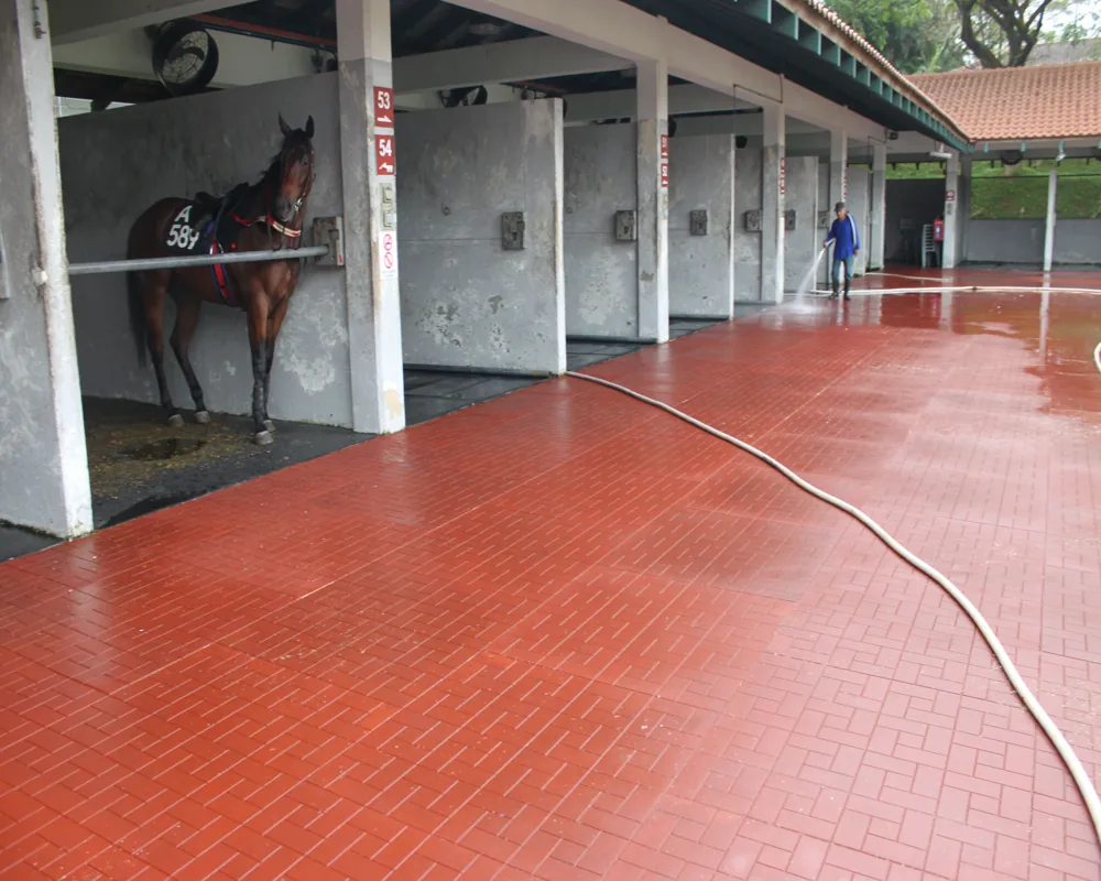 EVA Horse Stable Mats
