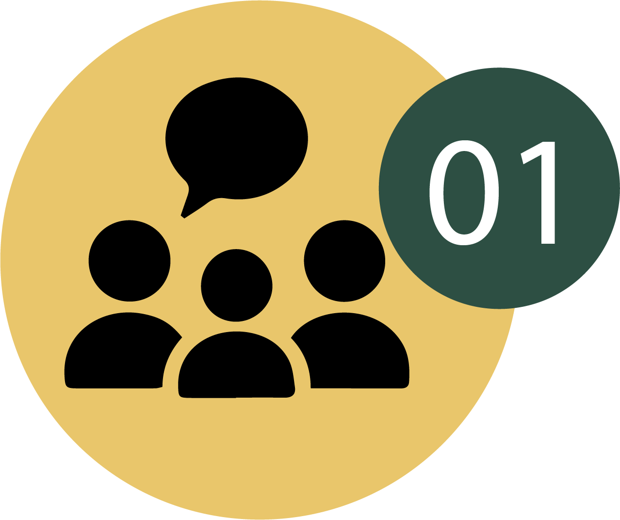 Initial Consultation