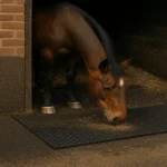 Premium Rubber Horse Stable Mats