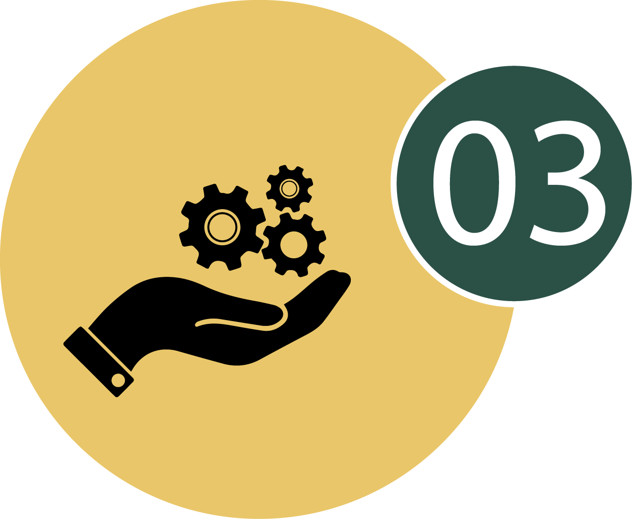 Professional Installation icon