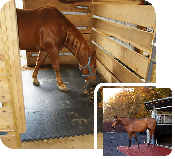 horse stable mats dubai