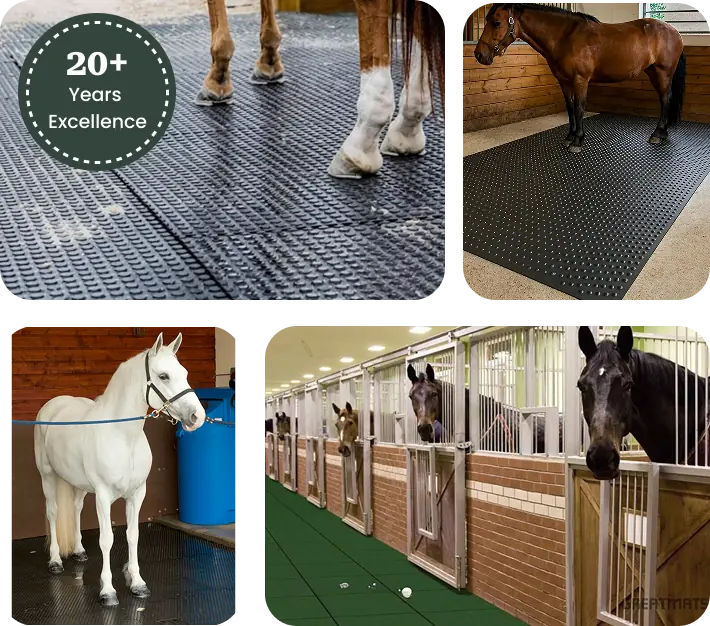 horse stall mats dubai