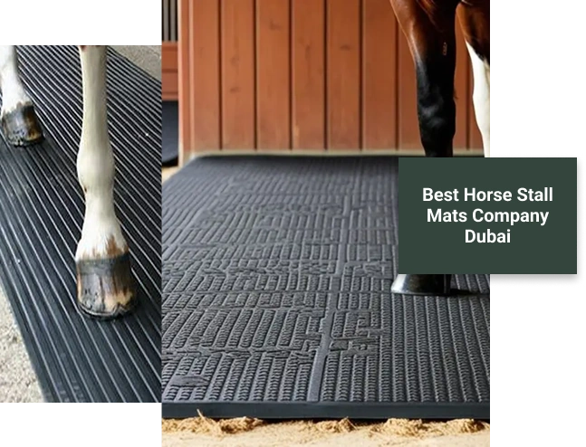 rubber horse stall mats dubai