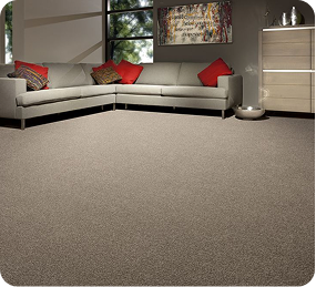 Carpet Dubai 11 wall to wall carpet