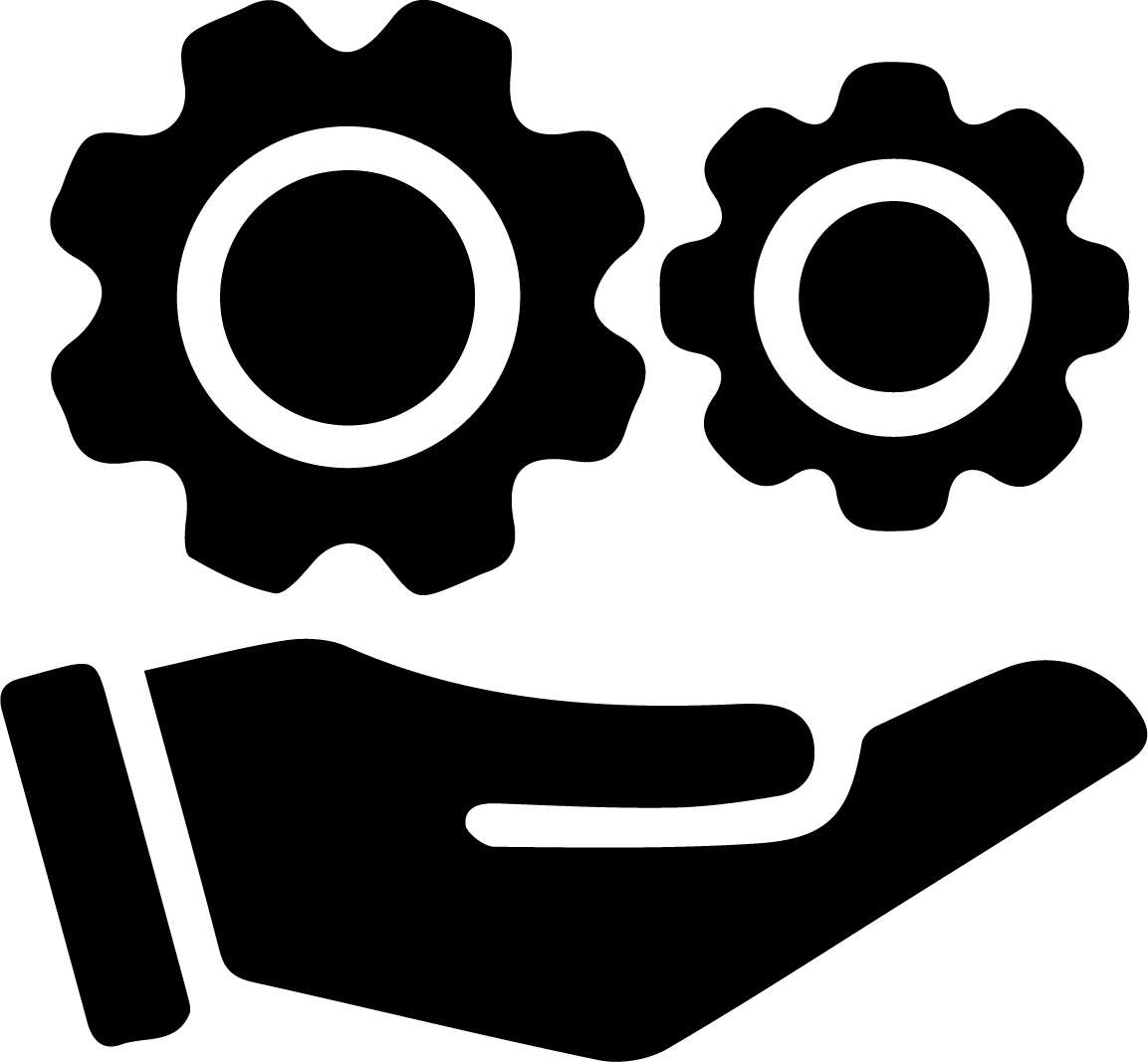 Installation Execution icon