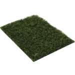 Home Redesigned 42 Artificial Grass UAE