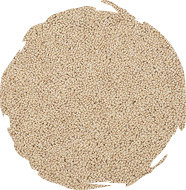 Carpet Dubai 39 Cream