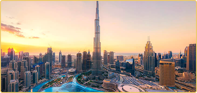 Carpet Dubai 65 Rectangle 247