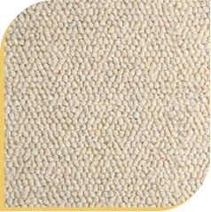 Carpet Dubai 31 Wool